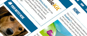 Website Design