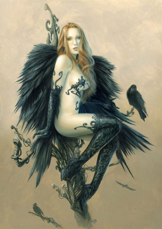 black wings