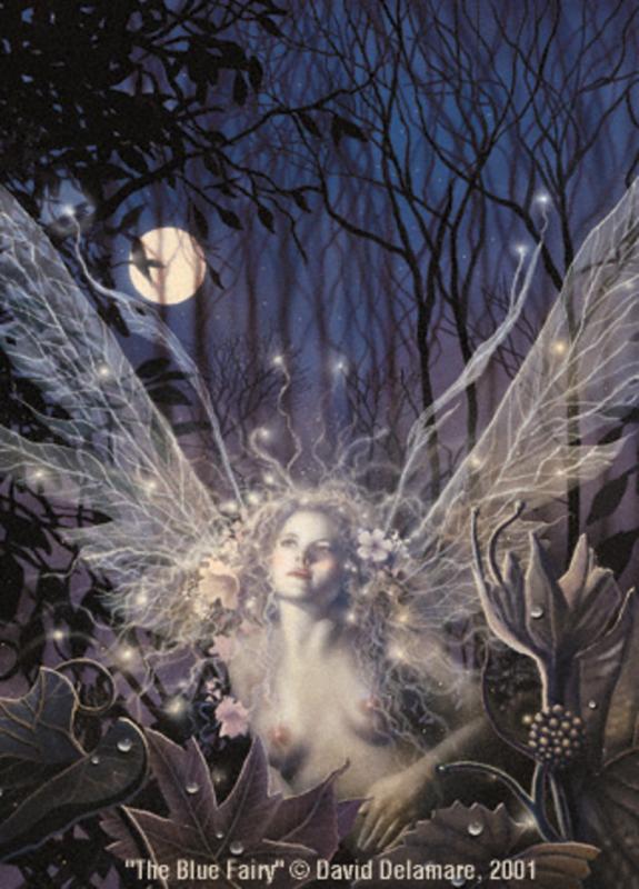 blue fairy