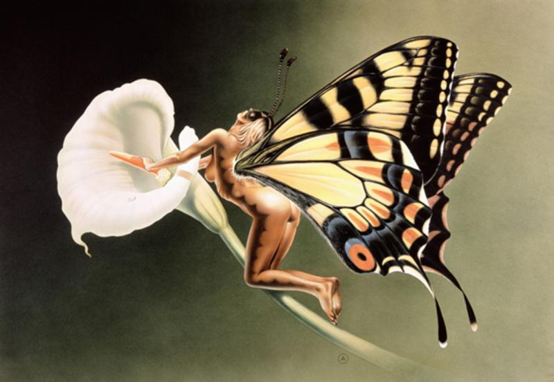 buterfly girl