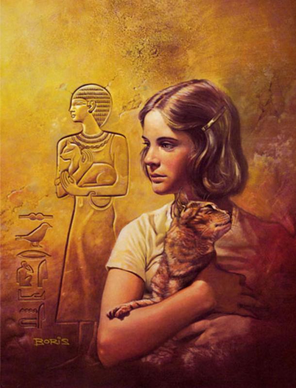 cat in the mirror