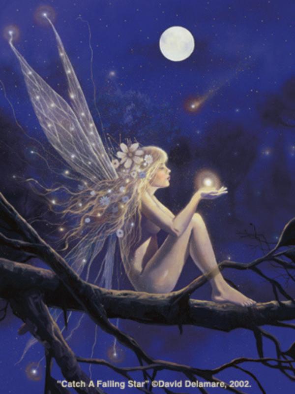 catch a falling star