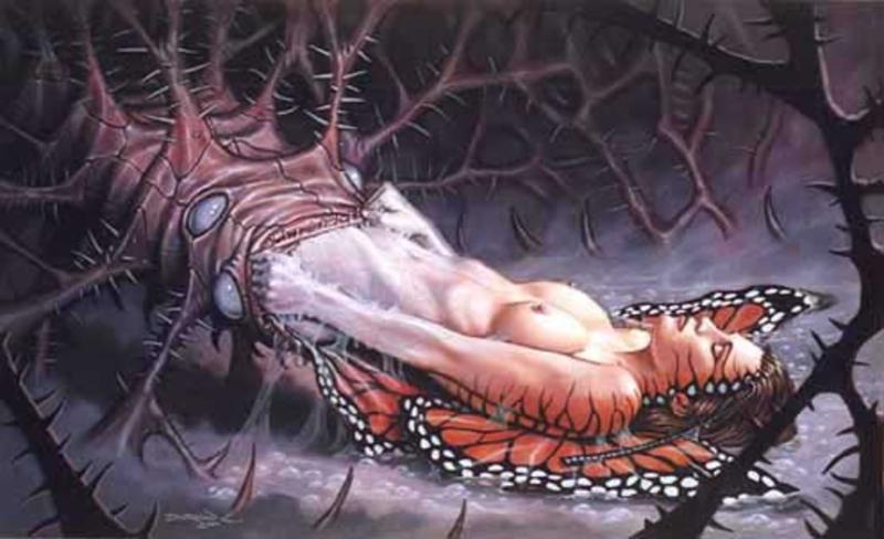 chrysalis
