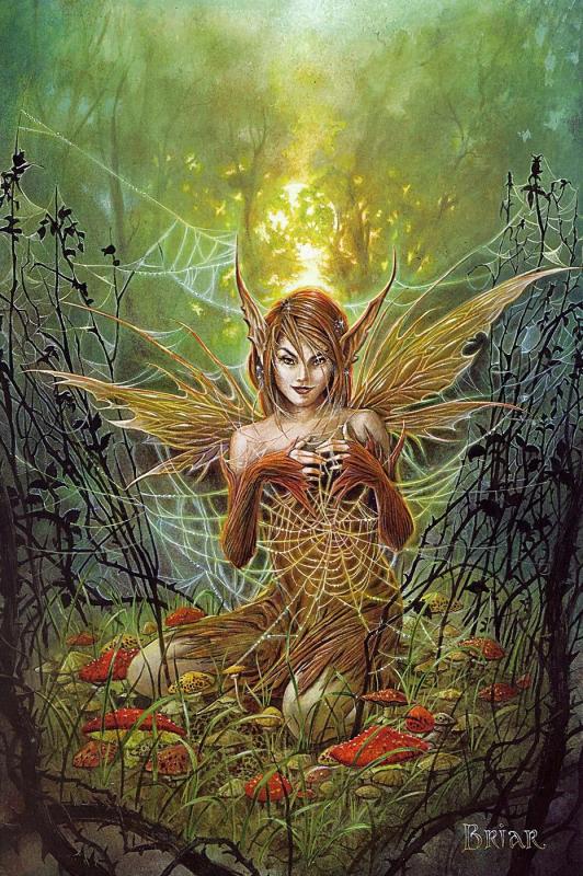 cobweb fairy