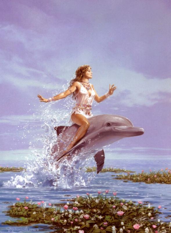 dolphin dreams
