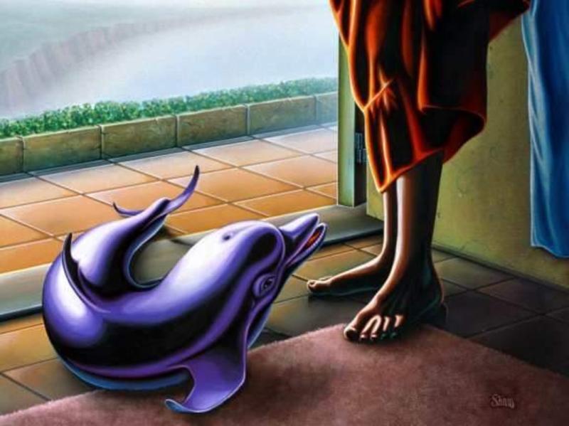 dolphin