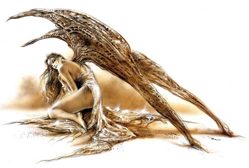 dreams night of angel