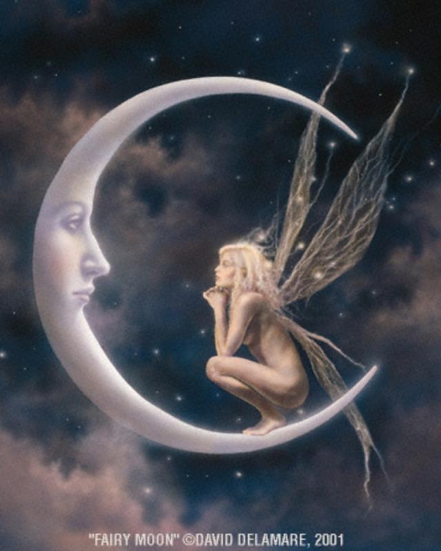 fairy moon