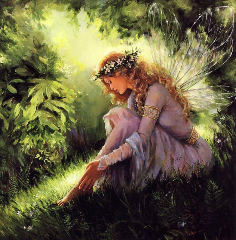 garden of dreams