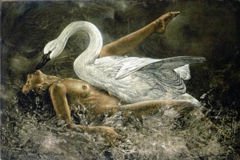 leda