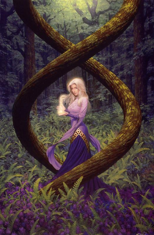 lotus wood