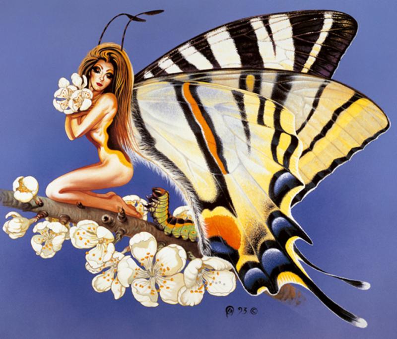 metamorphasis