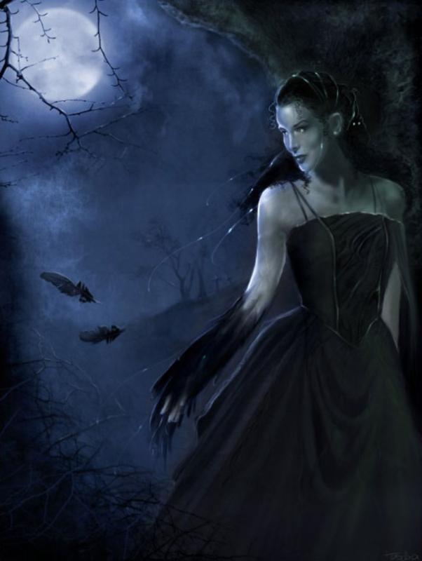 raven