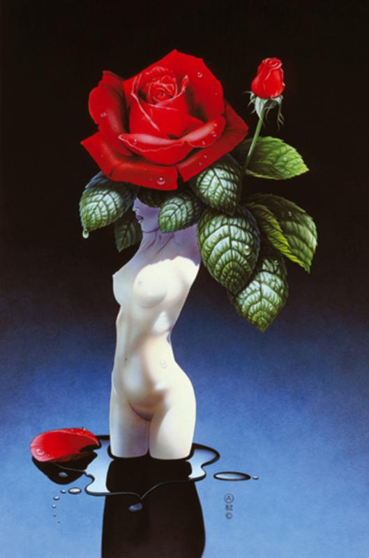 rose dew