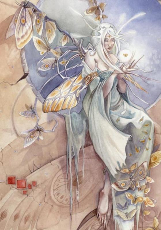 seeking the moth queen