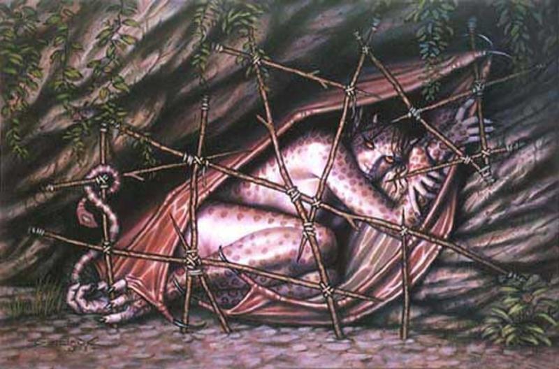 shelter