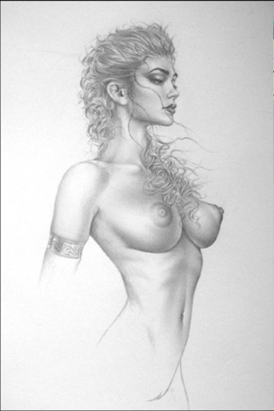 sketch amazon 2000
