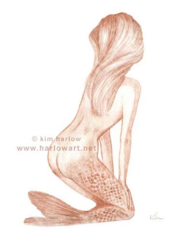 study mermaid