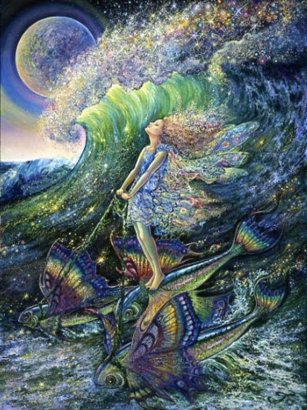 surfers dream