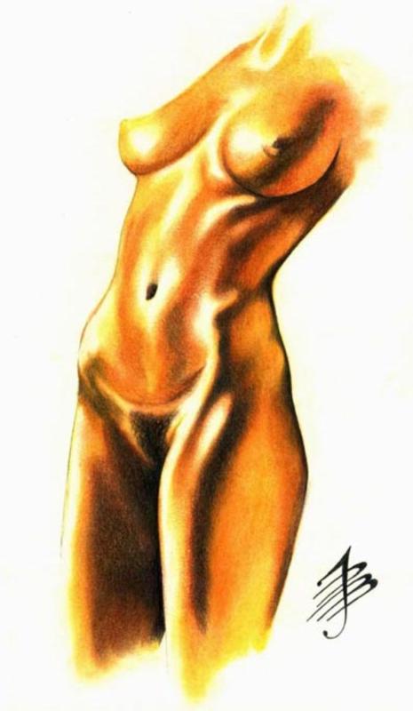 torso