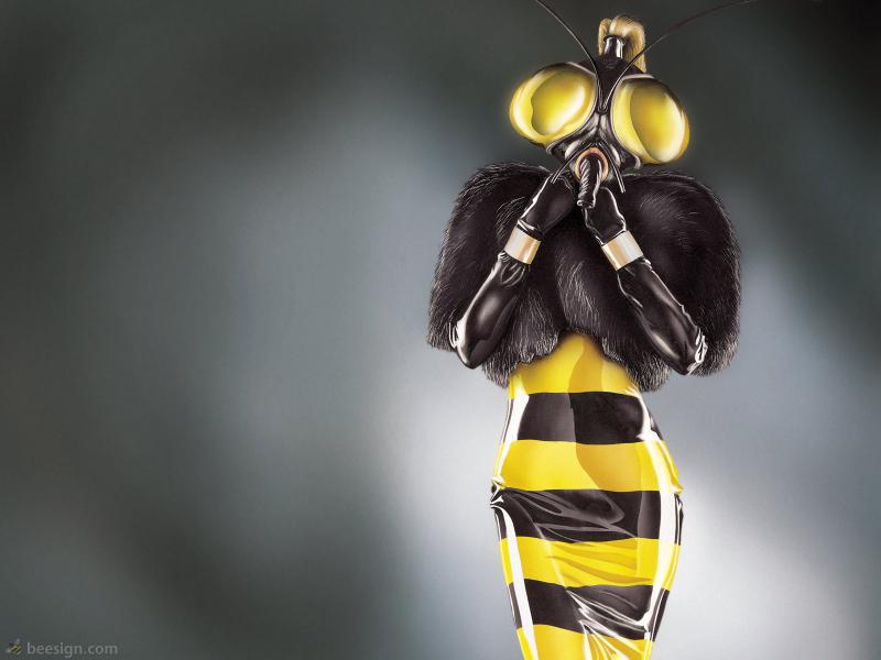 wasp 1600x1200