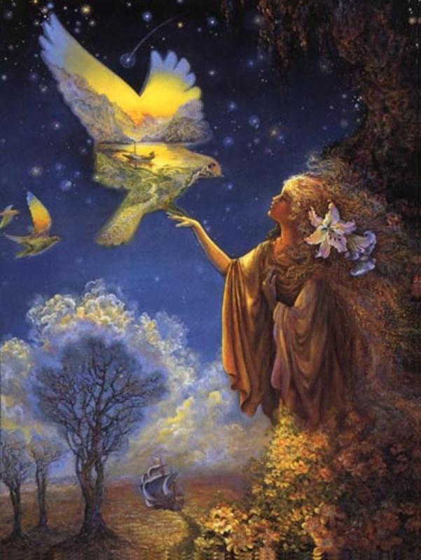 winged vision
