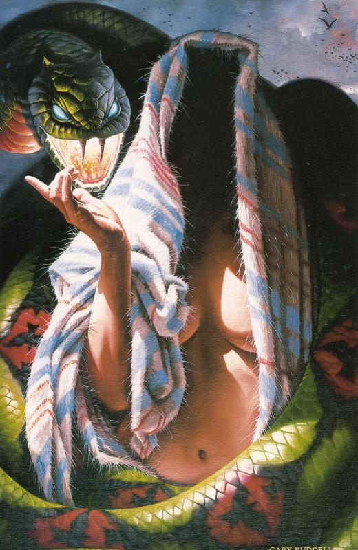 wings of omen