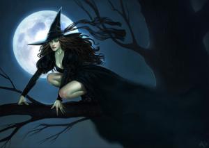 031_by_Aly_Fell