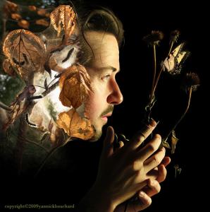 Dissection_of_a_Dream_by_Yannick_Bouchard