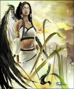 Sheou_by_Darryl_Taylor