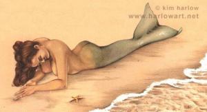 Wishing_on_a_Star_by_Kim_Harlow